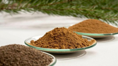 Finnish sustainable material developers have opened a mill that turns powdered tree macromolecules into energy